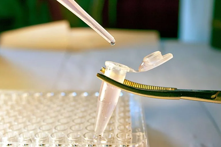 Read more about the article What Are The Benefits Of Using Stem Cells